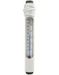 Pentair #127 Plastic Thermometer | R141046