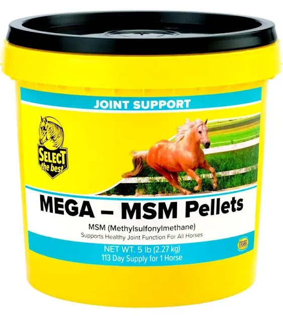 Richdel White Mega-MSM Pellets Joint Support for Horses 5 Pound