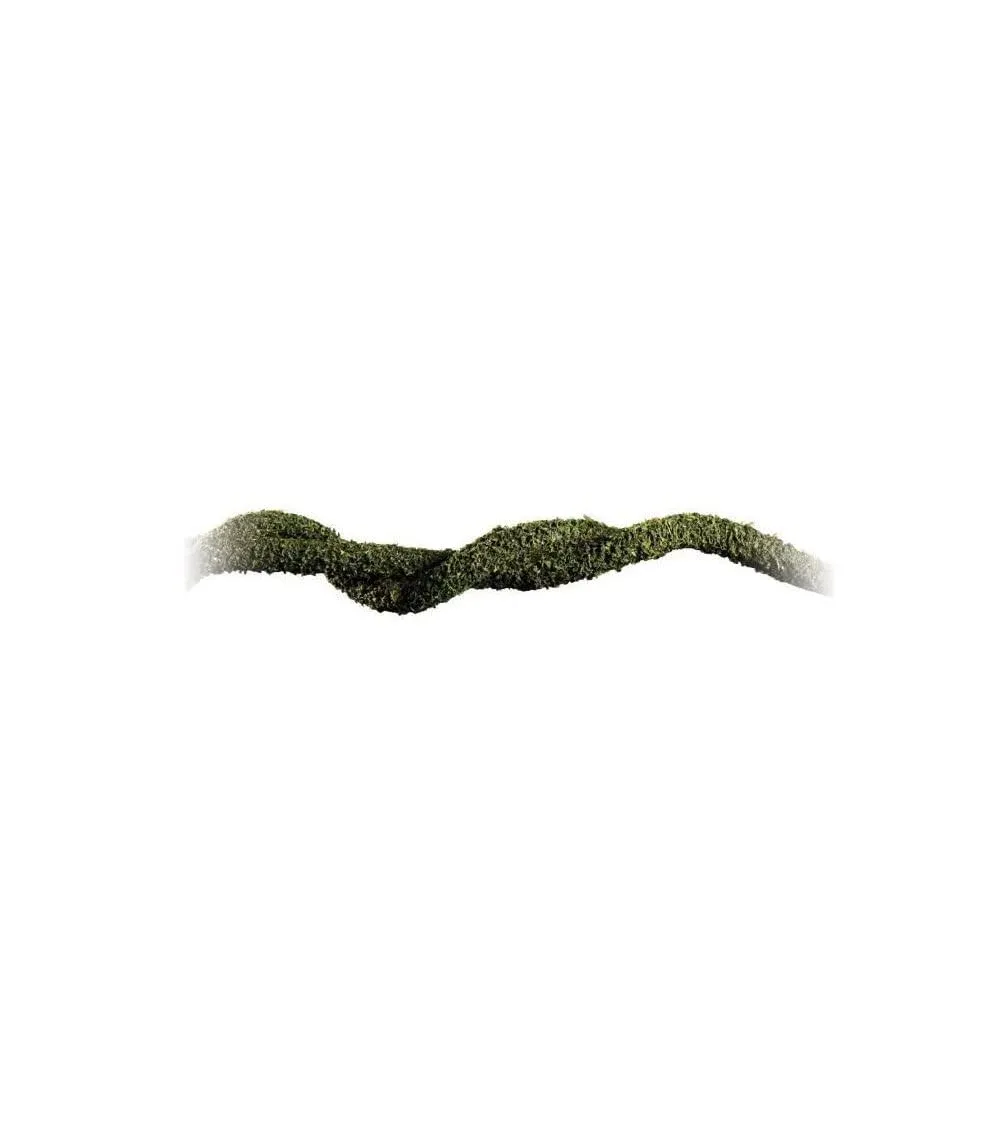 Exo Terra Bendable Moss Vine (Large)