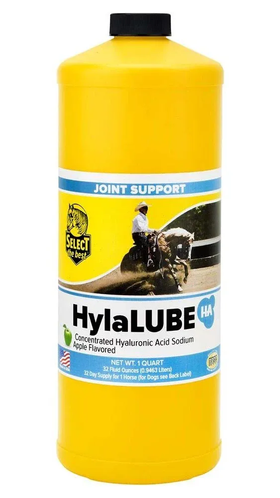 Richdel Apple HylaLUBE Concentrate Gallon