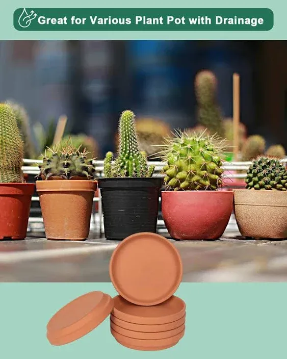 vensovo 6 inch Middle Terracotta Pot Plant Saucer - 6pcs Middle Round Plant Pot ...