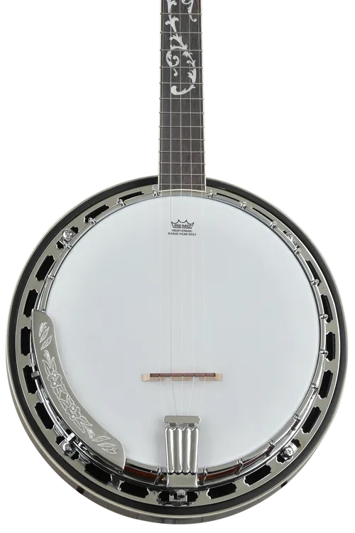 Ibanez B200 5-string Resonator Banjo Reviews | Sweetwater