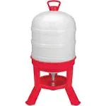 Little Giant DOMEWTR8 8 Gallon Tank Poultry Chicken Gravity Waterer (Used)