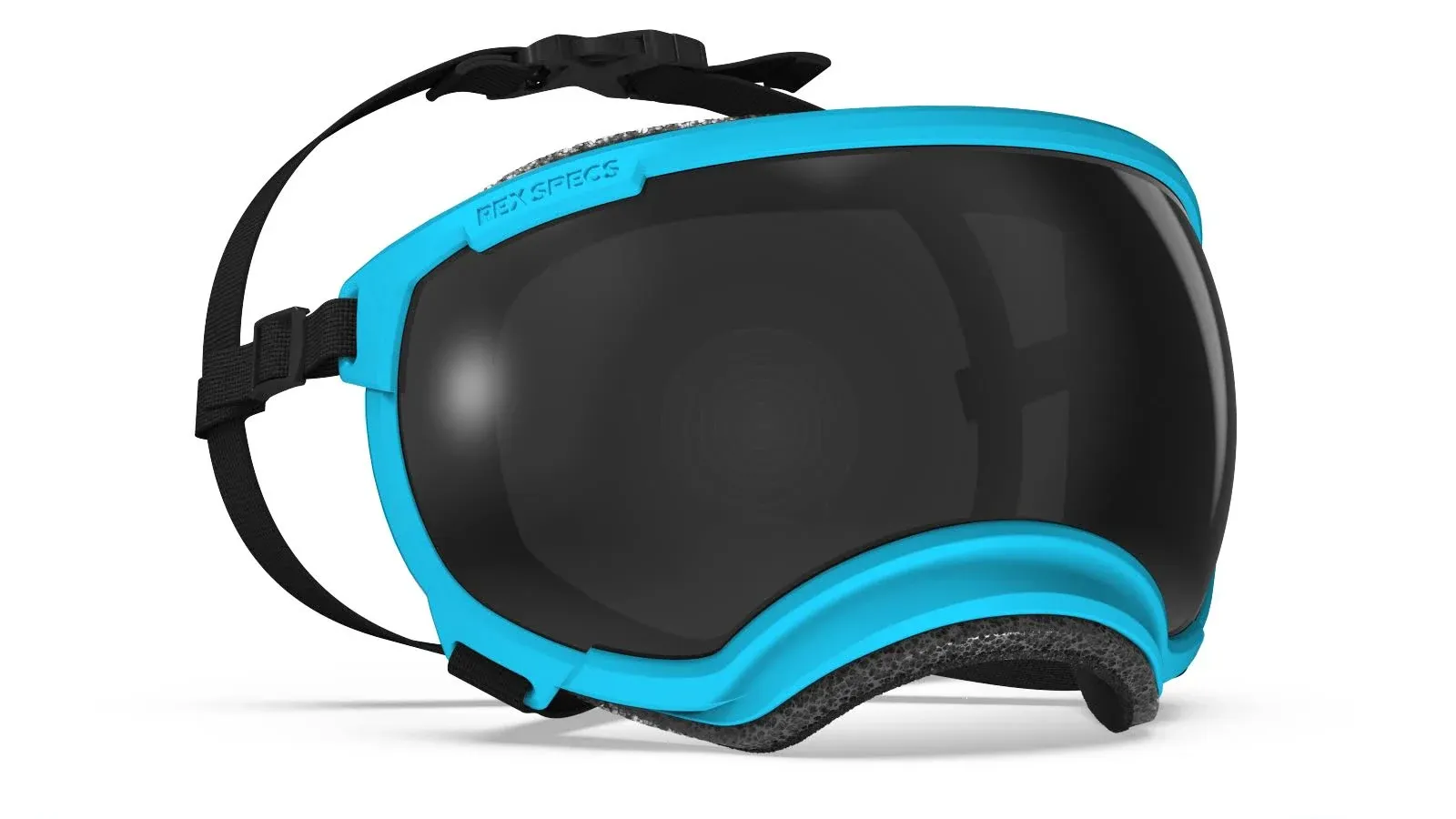 Rex Specs V2 Dog Goggles (Large, Big Horn Blue)