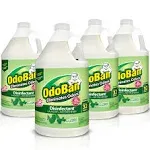 Odoban 911062G4 Concentrated Odor Eliminator, Eucalyptus, 1gal Bottle (Case of 4)