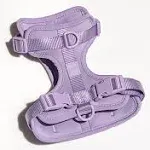 Lilac Harness Wild One