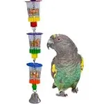 Super Bird Creations SB632 Foraging Bottom’s Up Bird Toy with Clear Acrylic C...