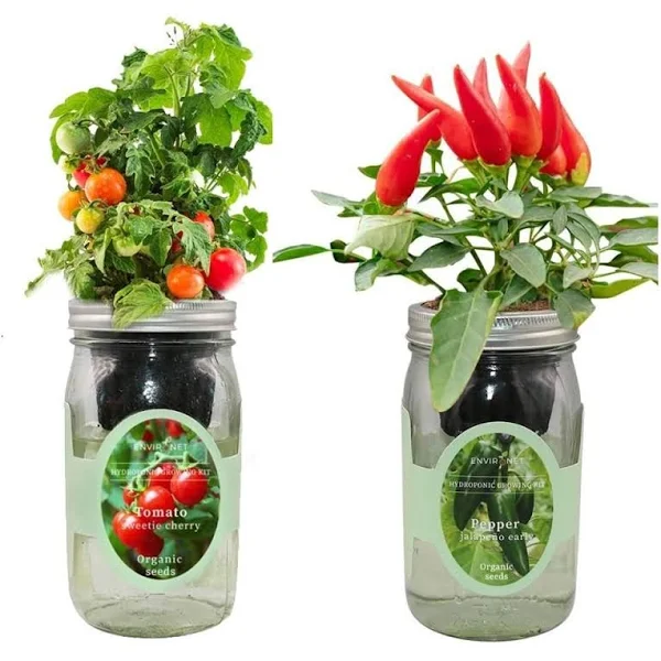 Environet 2-Pack Hydroponic Mason Jar Herb Garden Kit, Indoor Herb Garden Self ...