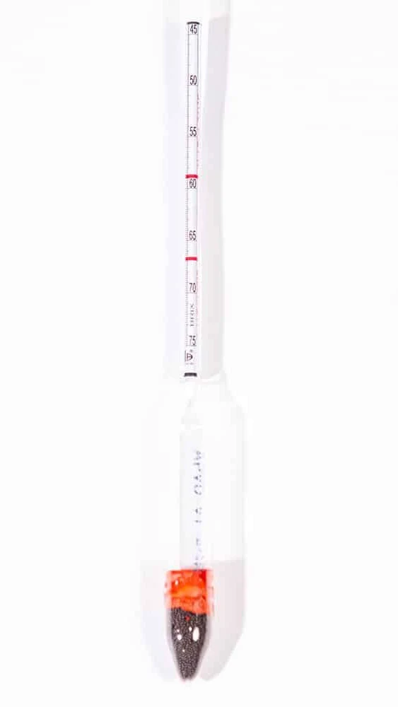 Syrup Hydrometer Kit