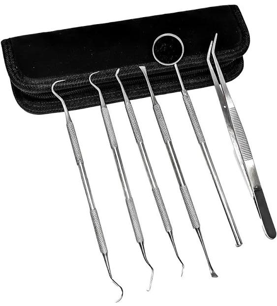 SURGICAL ONLINE Professional Dental Tools Kit, Teeth Cleaning Oral Care Kit, Tooth Pick Dental Mirror, Tartar Scraper, Dental Probe, Dental Scaler, Dental Tweezer 6 pcs with Pouch