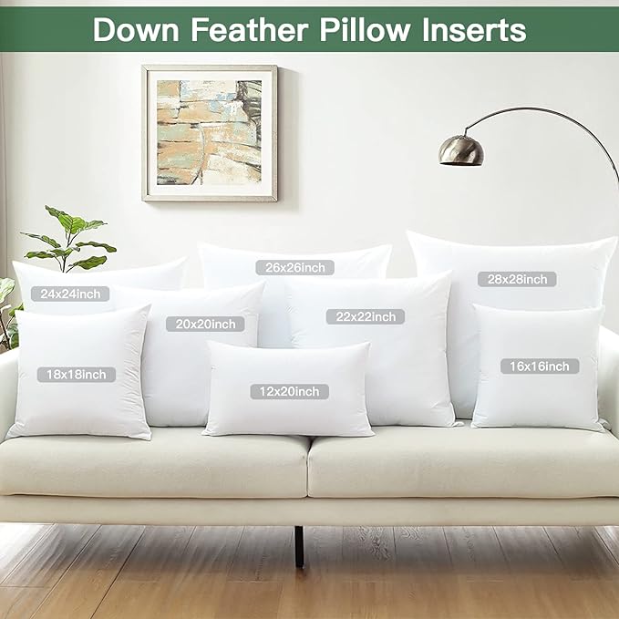 OTOSTAR Pack of 2 Down and Feather Throw Pillow Inserts, 12 x 20 Soft Fluffy Pillow Inserts with 100% Cotton Cover Decorative Pillows for Sofa Couch Bed-White