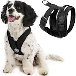 Gooby Comfort X Dog Harness