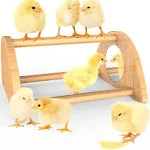 Mini Chick Perch with Mirror, Strong Bamboo Roosting Bar for Coop and Brooder, T