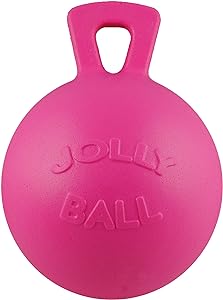 Horsemen's Pride Jolly Ball Peppermint - 10 in