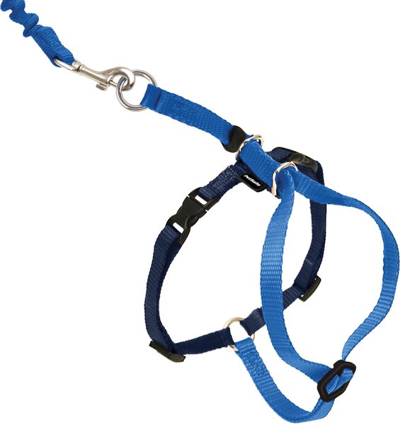 PetSafe Come with Me Kitty Harness Bungee Leash