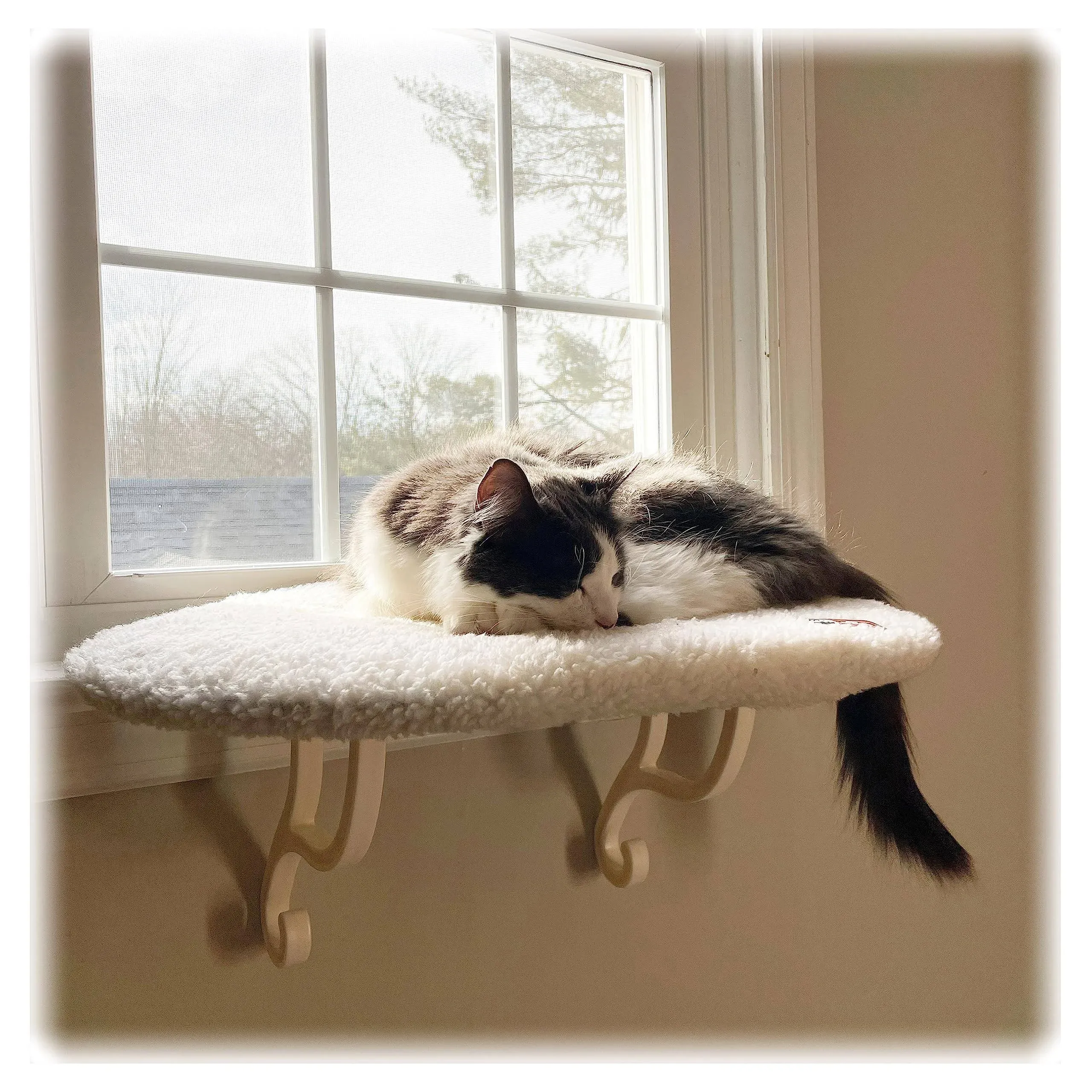 Topmart Window Sill Cat Perch,Kitty Sill,Cat Window Perch for Large Cats,Cat ...