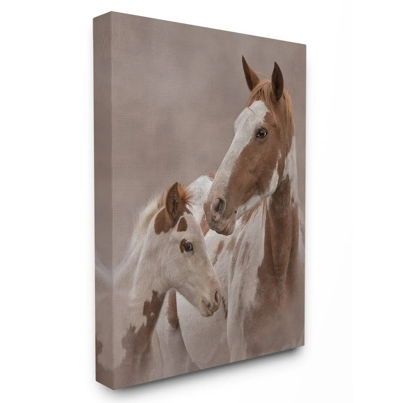 Stupell Industries Horse Family Photograph Canvas Wall Art, 16 x 20, Multi-Color