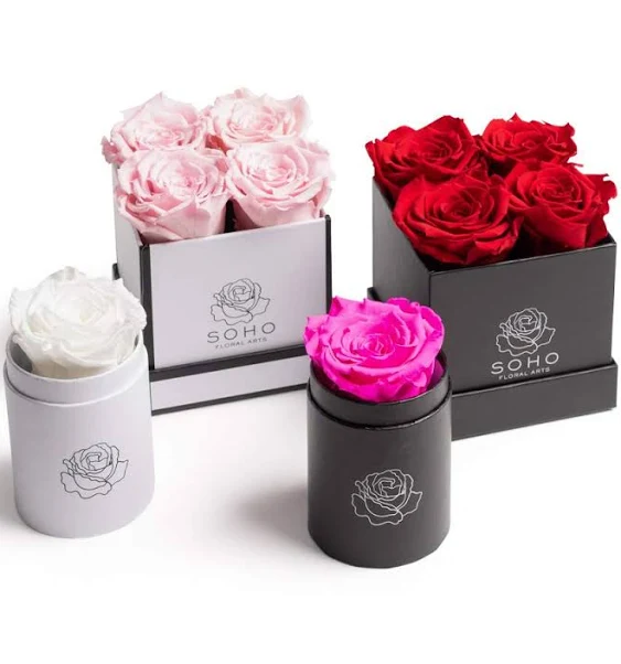 Soho Floral Arts | Preserved Flower Roses in A Box | Genuine Fresh Preserved Roses that Last for Years | Christmas Gift | Mothers Day Gifts (White Square 4ct, Pink)