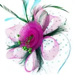 DRESHOW Fascinators Hat Flower Mesh Ribbons Feathers on A Headband and A Clip Tea Party Headwear for Girls and Women