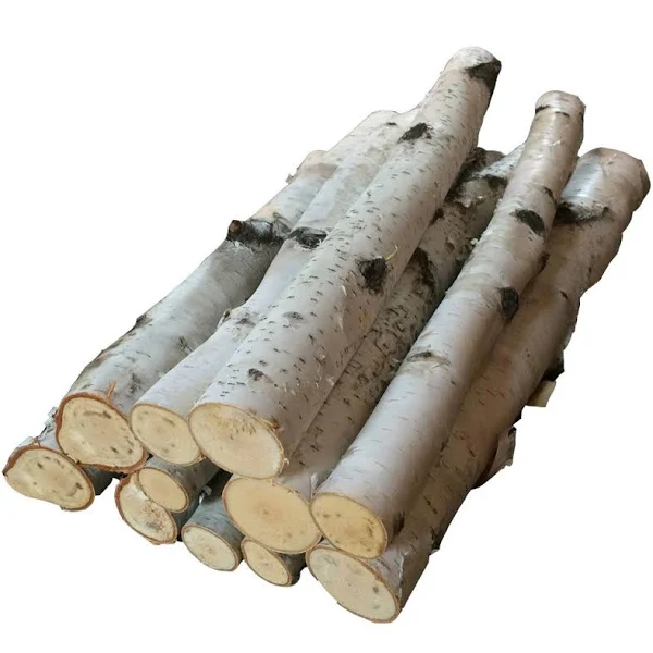 Birch Log Bundle, Large