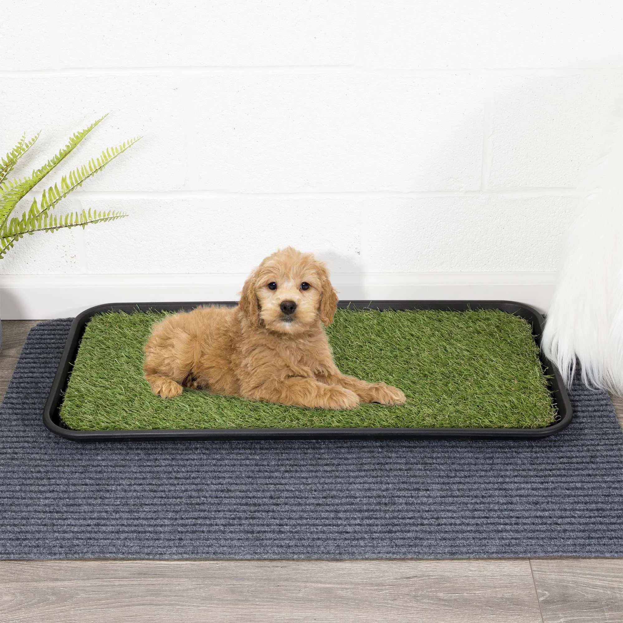 Puppy Pet Potty Training Pee Indoor Toilet Dog Cat Grass Pad Mat Turf Patch NEW