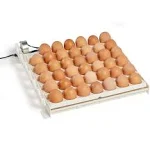 Farm Innovators Automatic Egg Turner