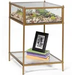 D'Eco Square Terrarium Display End Table