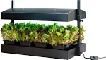 Micro Grow Light Garden Black