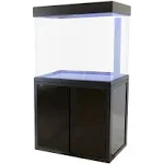 Aqua Dream 50 Gallon All-in-one Aquarium