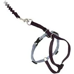 PetSafe Come with Me Kitty Harness Bungee Leash