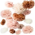 Vidal Crafts 20 Pcs Party Tissue Paper Pom Poms Set - Blush Pink Tissue Paper Flowers Decorations, Boho Birthday Party, Bachelorette, Bridal Shower Decorations, Wedding, Baby Shower Decor, 6" to 14"