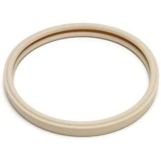 Pentair Light Lens Gasket 79101600Z