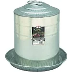 Little Giant Double Wall Poultry Fount