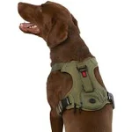 Kong Reflective Waste Bag Dog Harness in Green, Size: Medium | Neoprene PetSmart