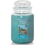 Yankee Candle Poolside Oasis Scented, Classic 22oz Large Jar Single Wick Candle