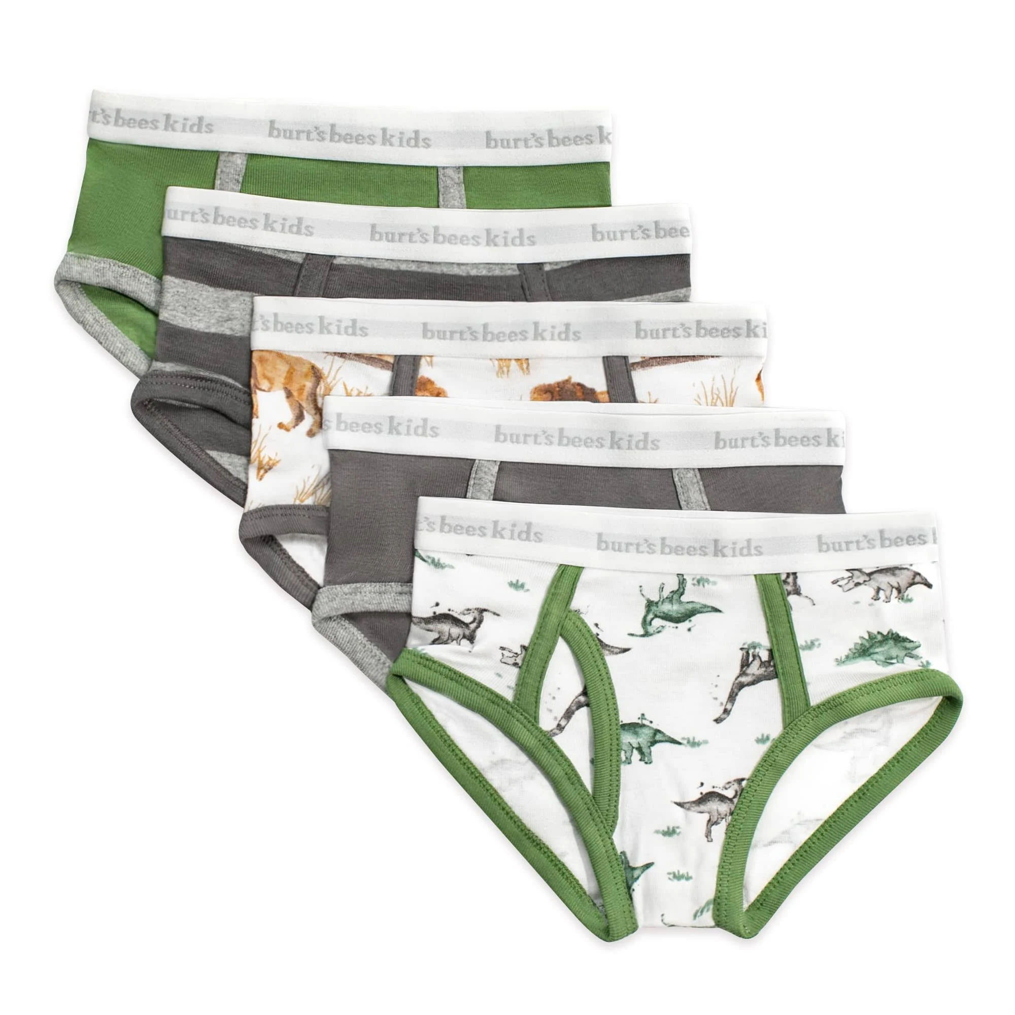 Burt's Bees Baby Underwear Dinos 2-3T