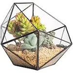 NCYP 6.69&#034; Bowl Shape Geometric Glass Terrarium, Half Ball Pentagon Planter I...