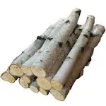 Birch Log Bundle, Large