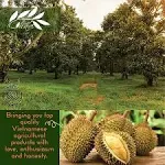 Chavi Freeze-Dried Durian (King of Fruits) - 2 oz - Healthy 1 Ingredient ...