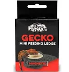 Mini Magnetic Gecko Feeder Ledge for Reptiles and Geckos