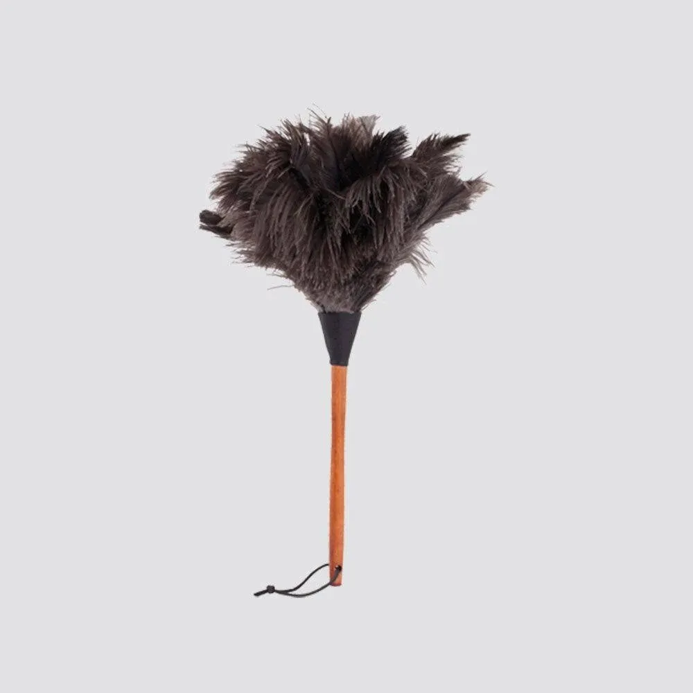 Redecker Ostrich Feather Duster with Varnished Wooden Handle, Small, 13-3/4-Inches