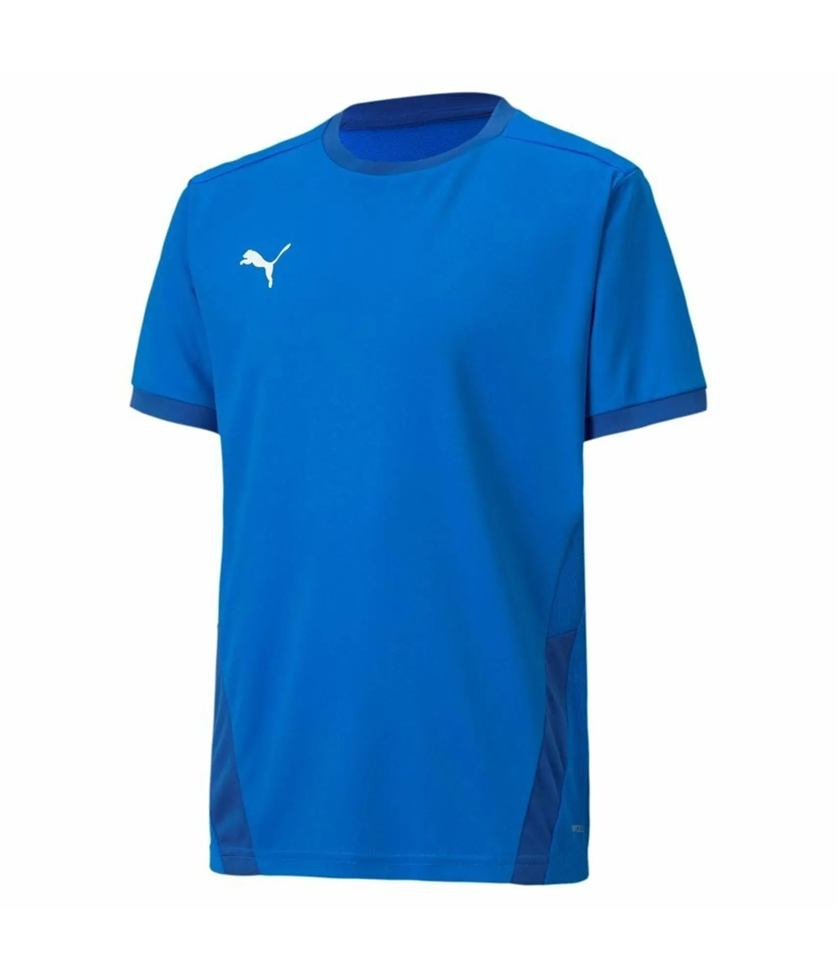 Puma Mens Team Goal 23 Soccer Jersey, TW1