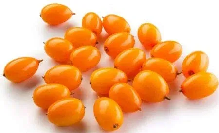 Fresh Frozen Wild Sea Buckthorn by Northwest Wild Foods - Healthy Antioxidant ...