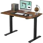 FLEXISPOT Electric Height Adjustable Standing Desk Heavy Duty Steel Stand Up Desk Frame w/Automatic Smart Keypad (EC1 Classic Black Frame + 48 in