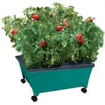 Emsco Group Little Pickers Raised Bed Children’s Grow Box – Self Watering and Improved Aeration – Mobile Unit with Casters – Teaches Kids Gardening