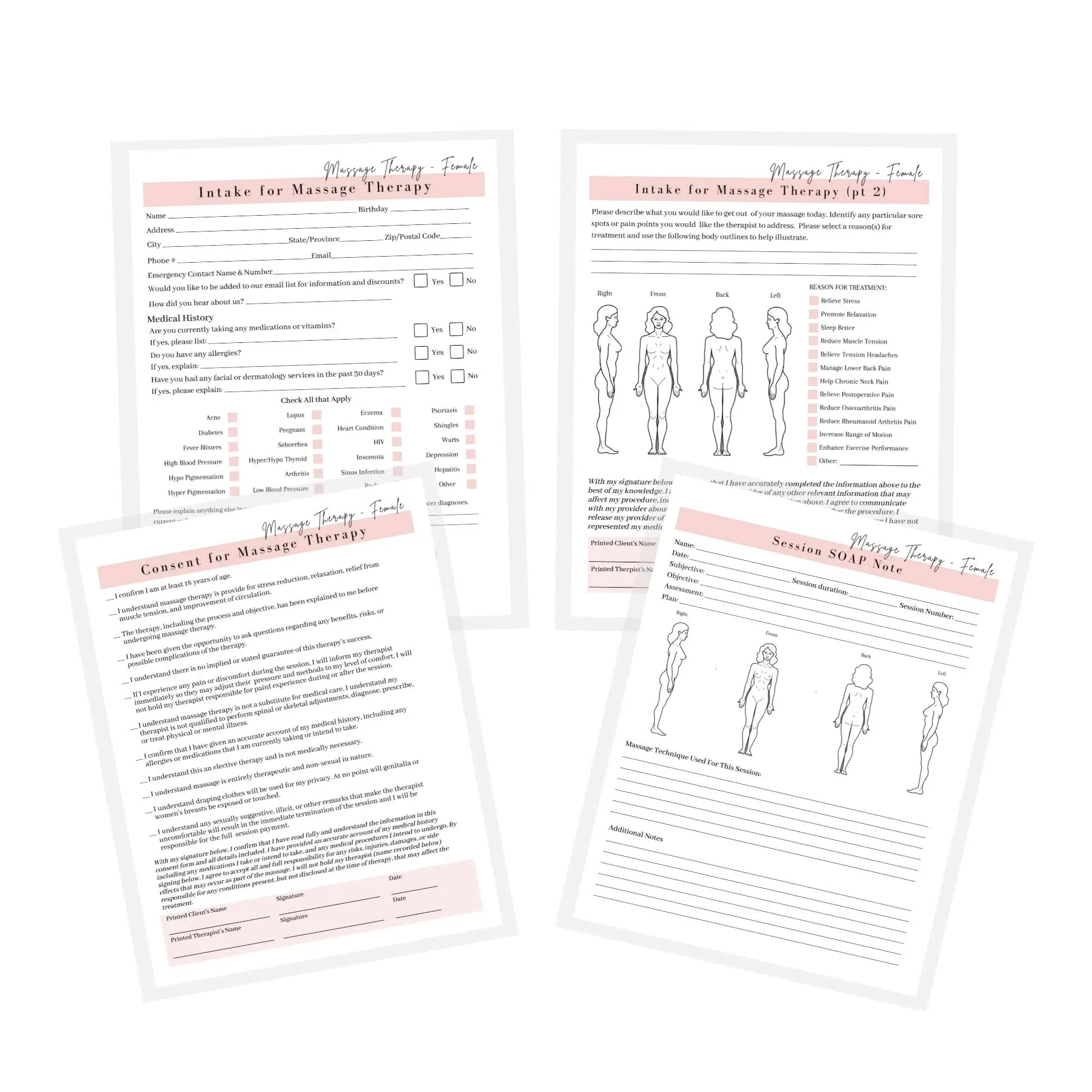 Lashicorn Massage Therapist Client Intake Forms Female Intake,Consent,SOAP Notes ...