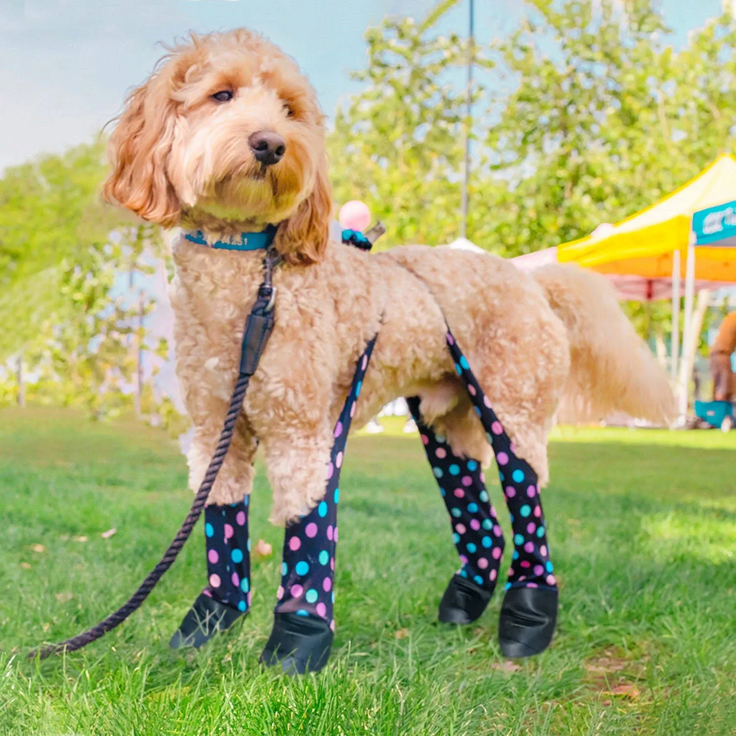 Deluxe Easy On Dog Boot Leggings | Waterproof & Adjustable Boots