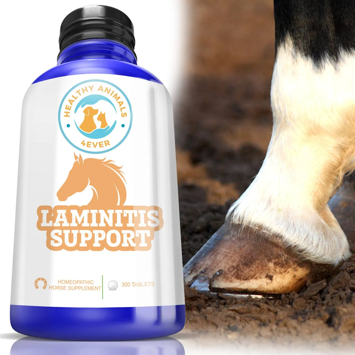 HORSE LAMINITIS SUPPORT