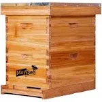 Beehive 8 Frame Bee Hives and Supplies Starter Kit