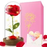 Refresh 2023 Beauty and The Beast Rose, Enchanted Red Silk Rose in Glass Dome with LED Light Romantic Rose Kit for Best Gifts Valentine's Day& Girlfri